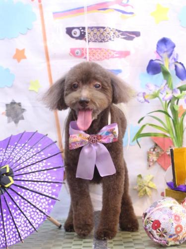 20240512杏ちゃん